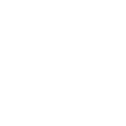 Organizzazione backup a Roma Enrico Gentili