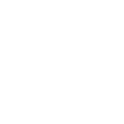 Protezione computer NAS e server a Roma Enrico Gentili