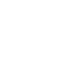 Consulenza videosorveglianza a Roma Enrico Gentili